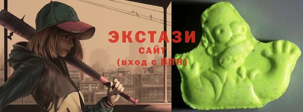 ECSTASY Богородск