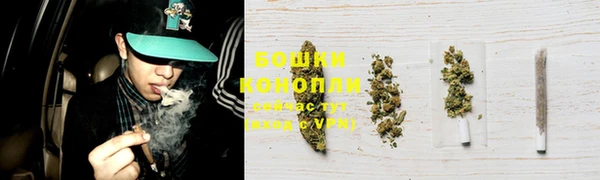 ALPHA PVP Богородицк