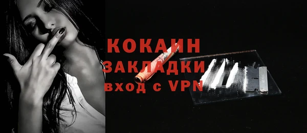 ECSTASY Богородск