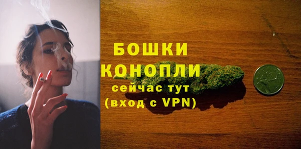 экстази Богданович